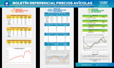  Boletín Precios Avícolas 21 de mayo